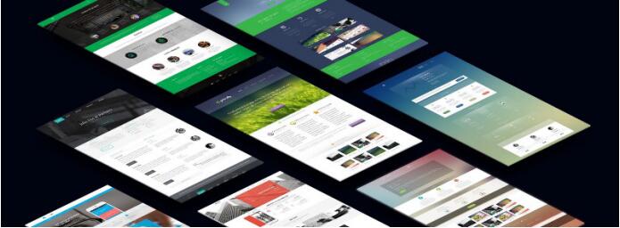 ���W(w��ng)վ����