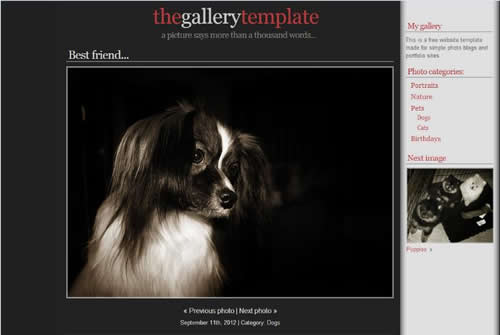 �������I(y��)�W(w��ng)վ��ô����