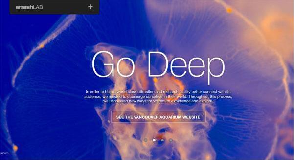 ��ɫϵ�ľW(w��ng)վ���O(sh��)�Ĵ���