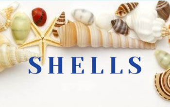 �����M(j��n)�����Q(m��o)�׾W(w��ng)վ���O(sh��)