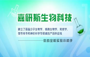 �V�ݼ���˹�Ƽ����޹�˾�W(w��ng)վ���O